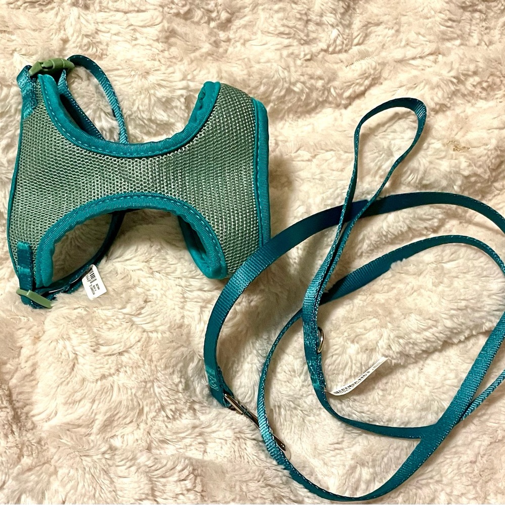 Small cat harness with leash